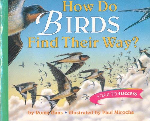 How Birds Do Find Their Way? (Soar to Success)
