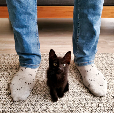 Conscious Step: Socks that Save Cats (Grey)